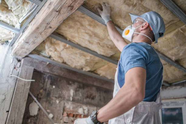 Types of Insulation We Offer in Warren, OH