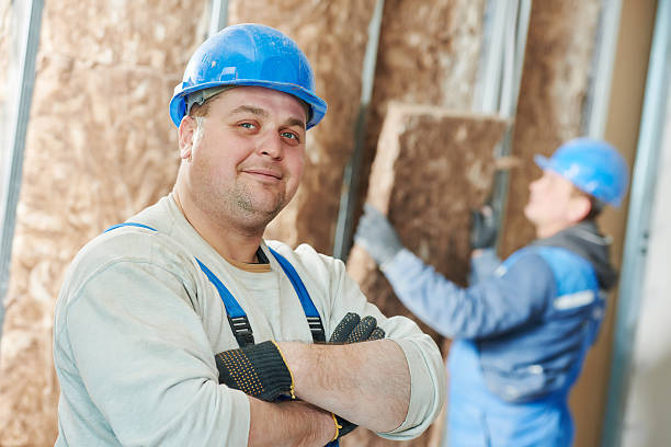 Best Geographic-Specific Insulation Services in Warren, OH