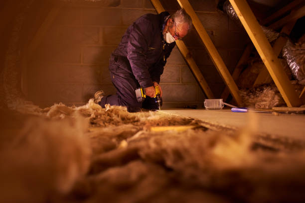 Best Residential Insulation in Warren, OH